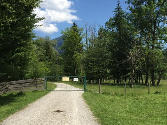 Gatter kurz vor Eschenlohe von Oberau kommend