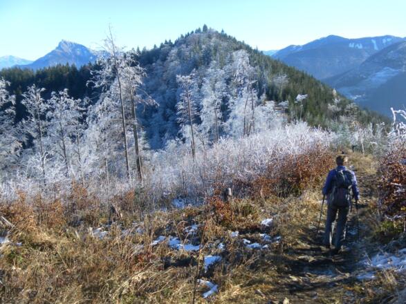 im Sattel links zum Filblingsee und rechts zur Sattelalm