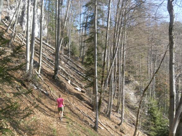 Querung zum Drachenwand Normalanstieg