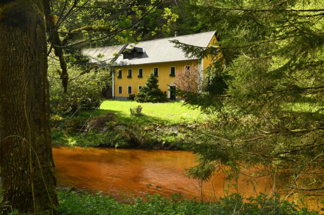 Der Ruttensteinweg entlang der Großen Naarn