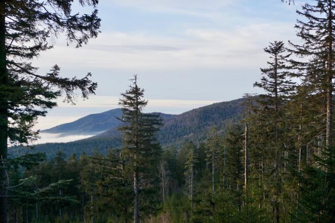 Blick zum Gr. Riedelstein, Mühl- und Ödriegel
