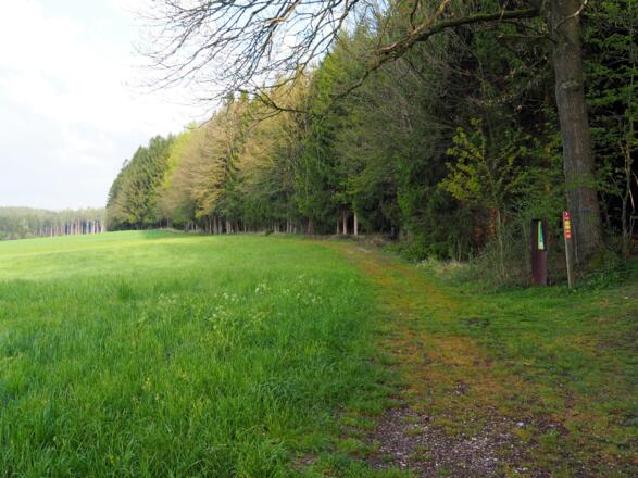Entlang des sogenannten "Lippenholzes" führt der Weg zur Hubertuskapelle