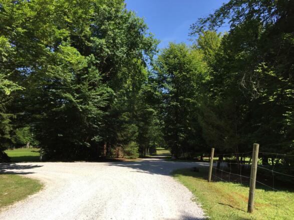 Im Bernrieder Park gerade weiter
