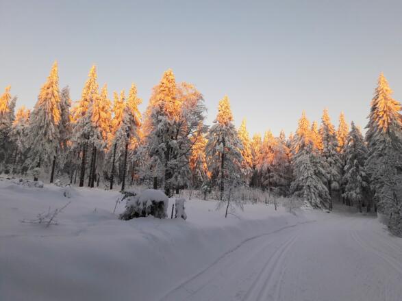 Abendstimmung beim Anstieg zur Kudernhütte