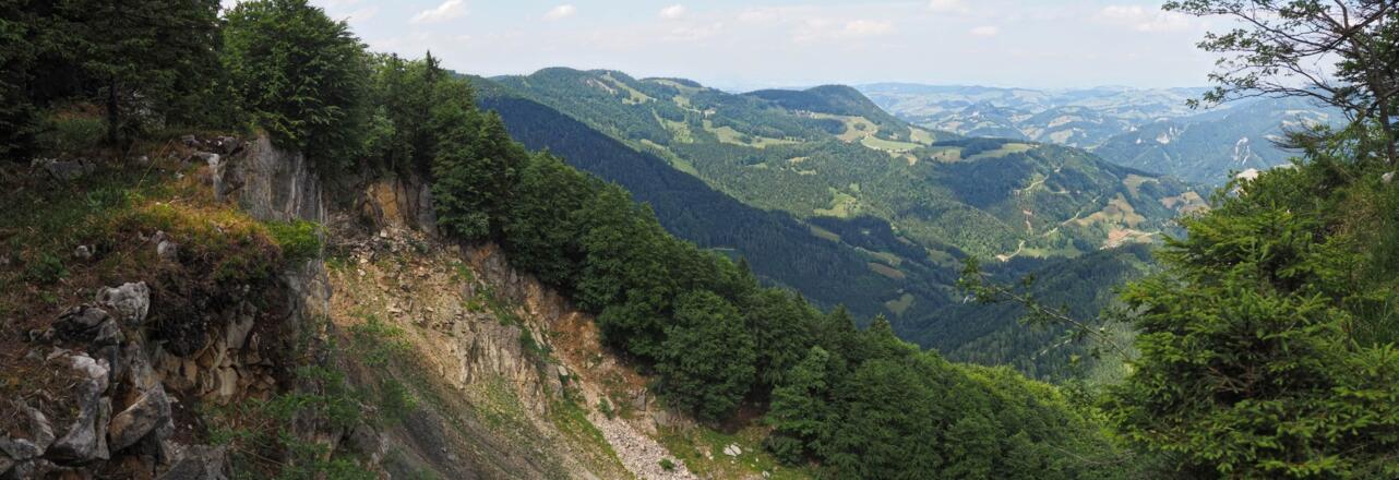 Ausblick von der Tannscharten auf das Alpenvorland