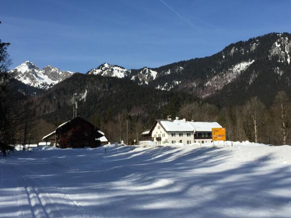 Zum Schloß Linderhof über die Straße, Schlittenfahrer wenden.
