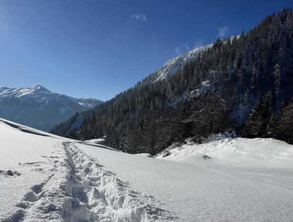 Aufstieg Höslalmen Schneeschuhtour Hösljoch