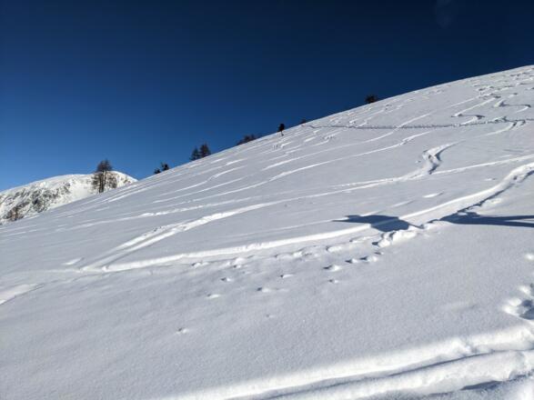 HR_Unteres_Rossfeld3