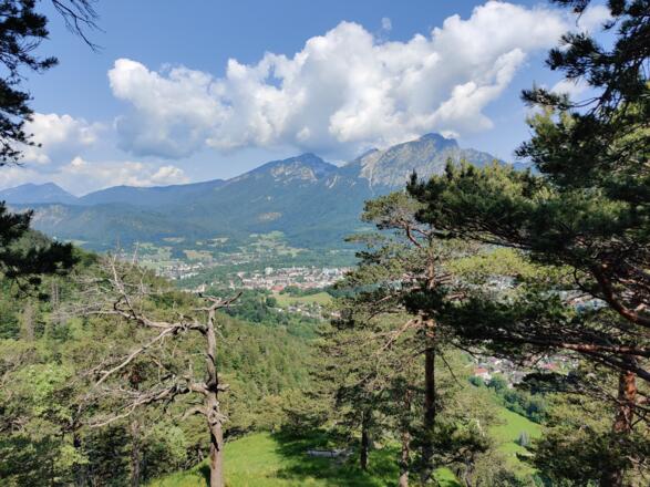 Ausblick auf Bad Reichenhall und den Hochstaufen.