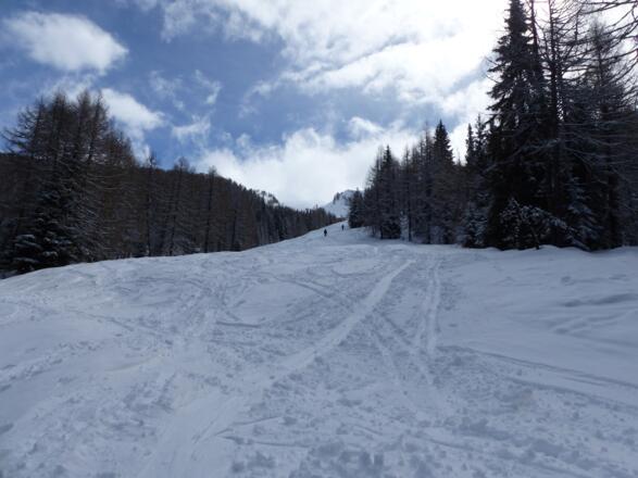 Vor einigen Jahren wurden diese attraktive Schneisen bewusst angelegt, um die Tourengeher zu lenken und den Wäldern fernzuhalten.