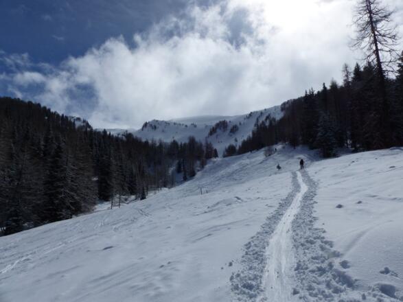 Breit sind die Waldschneisen für schönen Skigenuss.