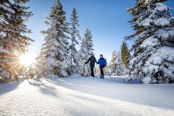 Schneeschuhwandern durch den verschneiten Winterwald