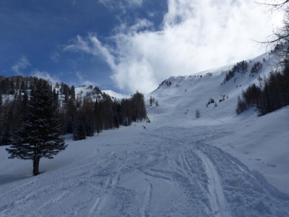 Breite Waldschneisen versprechen schönen Skigenuss.
