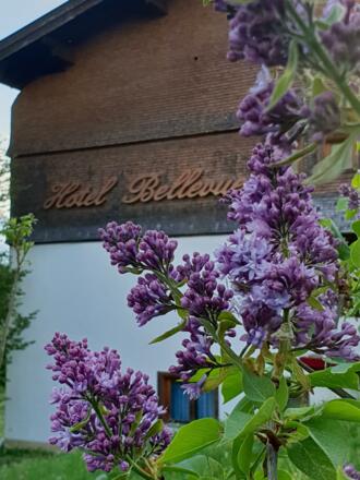 Blumen