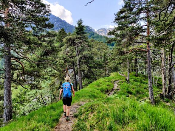 Schmale Waldwege prägen die Runde im Lattengebirge.