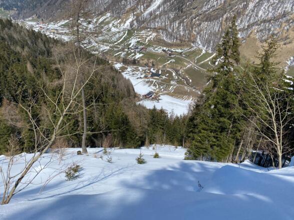 Tiefblick über die Waldschneise hinunter nach Vals.