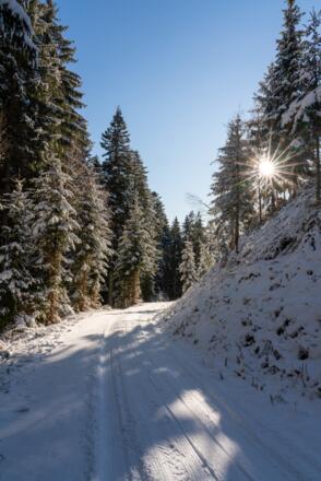 Wegverlauf zum Latschenstüberl/Mandlberggut