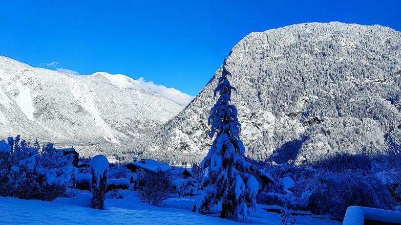 Bild 2 1200x800