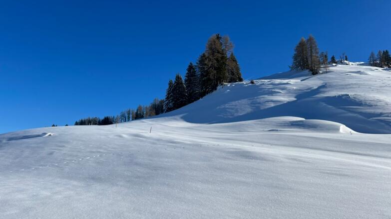 Tiefschnee Nahe Höslalmen Schneeschuhtour Hösljoch
