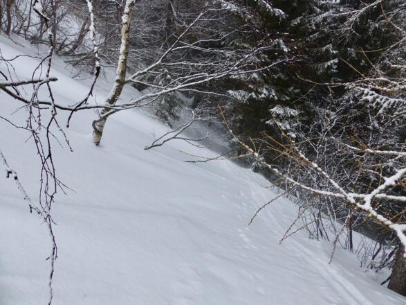 Nach dem Waldanstieg muss kurz vor den Padauner Wiesen eine heikle Stelle überwunden werden.