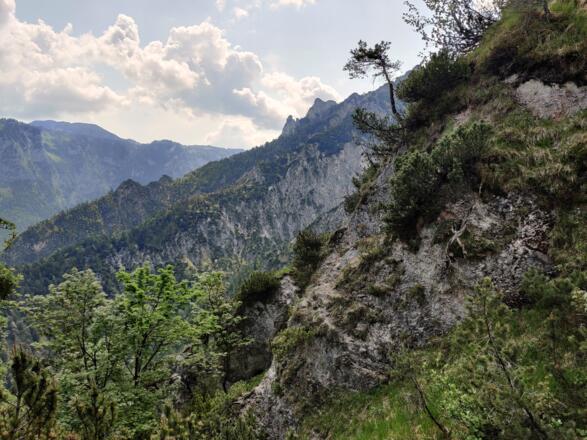 Ausblick auf die bizarren Felsformen im Lattengebirge.