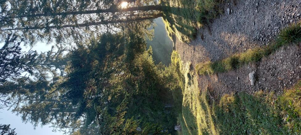 Aufstieg zur Dürrenbergalm