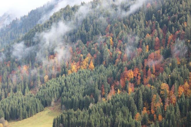 Herbstausblicke vom Sonnenberg