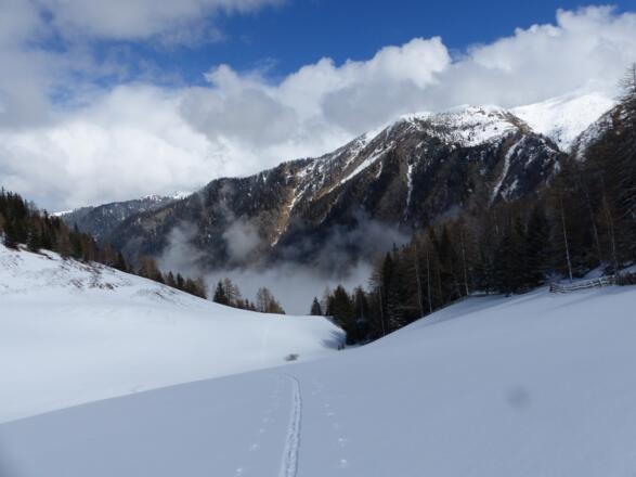 Quer über die Felder führt der weitere Anstieg zum Gh. Steckholzer.