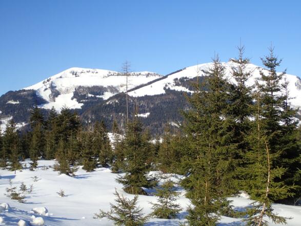 Start bei der Mautstelle; Schlenken, Schlenkstein und Schmittenstein im Hintergrund