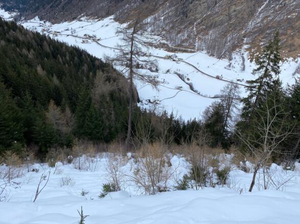 Die Hänge über den Sommerweg nach Vals sind steil und mitunter etwas verwachsen. Deshalb benötigt es eine gute Schneelage.