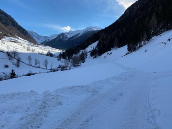 Zu Beginn geht es auf dem Güterweg nach Süden in Richtung Valsertal.