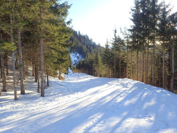 Trattbergstraße - stets gut ausgefahren