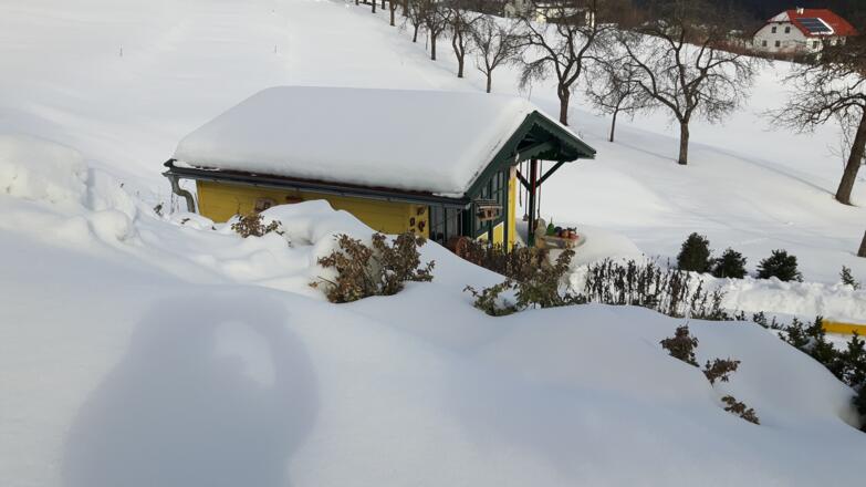 Gartenhaus im Winter