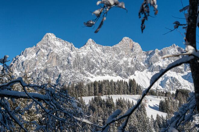 Blick auf den Dachstein