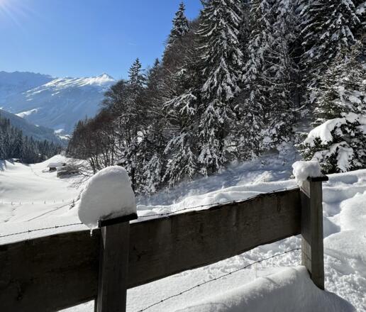 Zaun Hösljochkapelle Schneeschuhtour Hösljoch