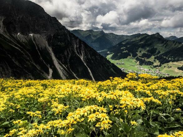 Landschaftsemotionen