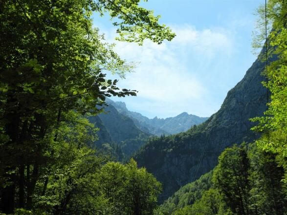Ferienwohnungen Grainau "Der gekrönte Hirsch"