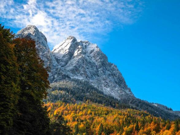 Ferienwohnungen Grainau "Der gekrönte Hirsch"