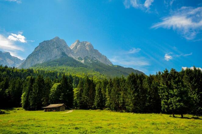 Ferienwohnungen Grainau "Der gekrönte Hirsch"