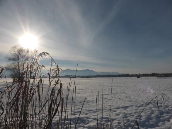 Winterstimmung im Grabenstätter Moos