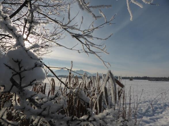 Winterzauber im Grabenstätter Moos