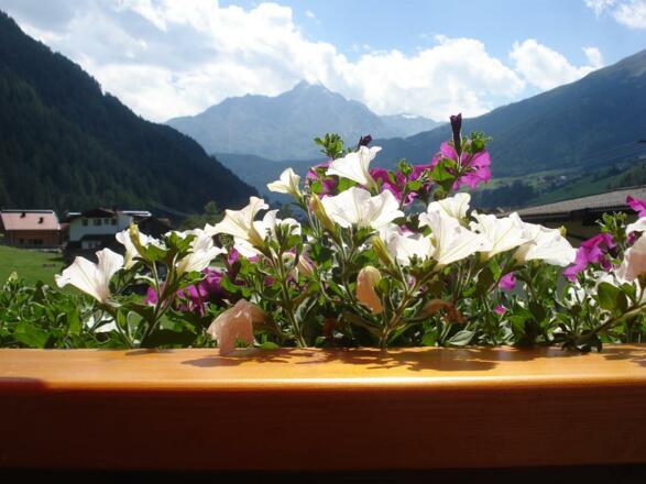 Aussicht