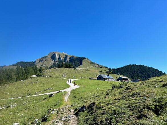 La ieșirea din pădure