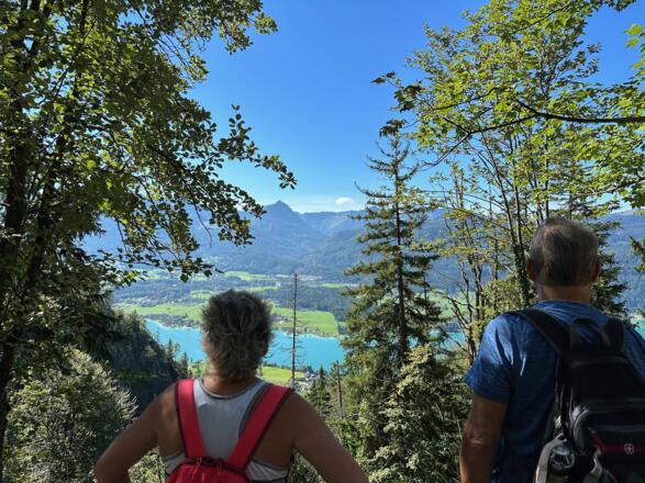 Vedere spre Wolfgangsee