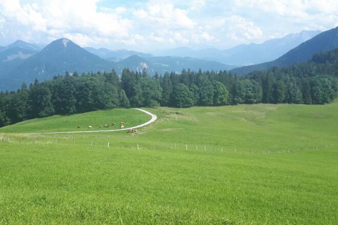 Ausblick von der Hohen Asten