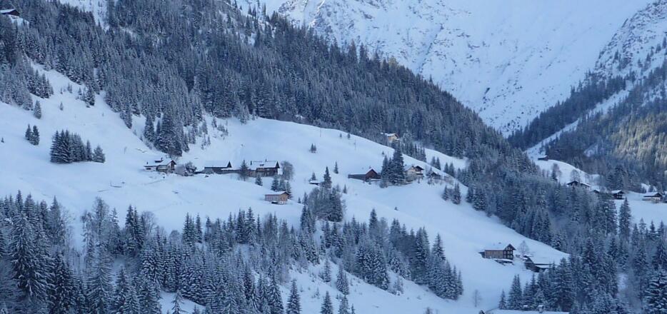 wie im Bilderbuch, Blick in den Weiler Nebenwasser