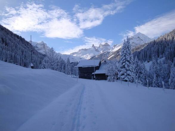 Gauertal mit Drei Türme