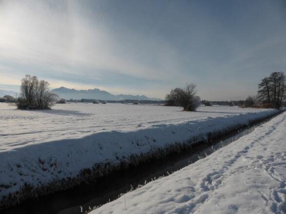 Grabenstätter Moos im Winter