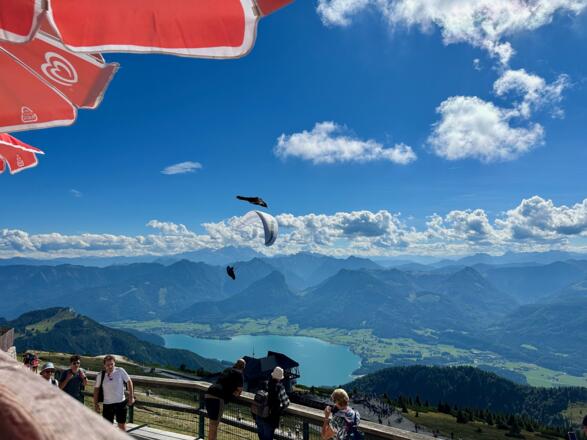 Relaxați privim zborul omului și al pasării