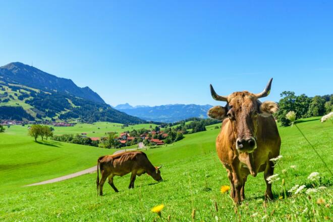 Ein weiterer Traumausblick